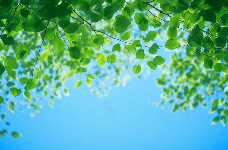 绿色植物树叶摄影广告背景,高清,摄影图,摄影图片,图片大全,摄影图免费下载